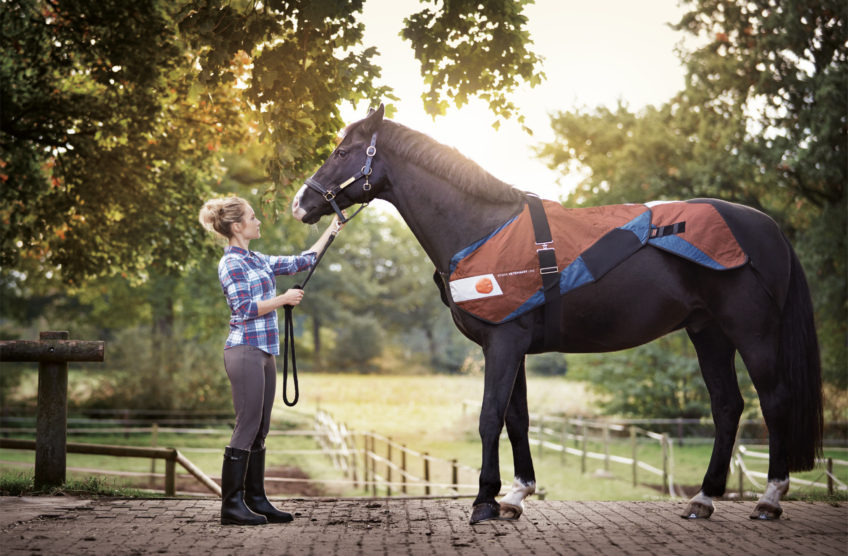 HET THERAPIECONCEPT VOOR HET WELZIJN VAN UW PAARD